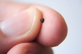 Faith of a Mustard Seed