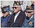 3 Older Vets