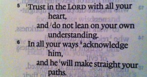Happy Sunday everyone!